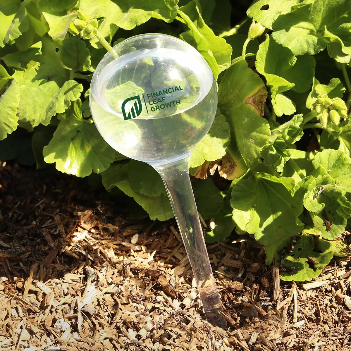 Bulle d’arrosage pour plante - DB700
