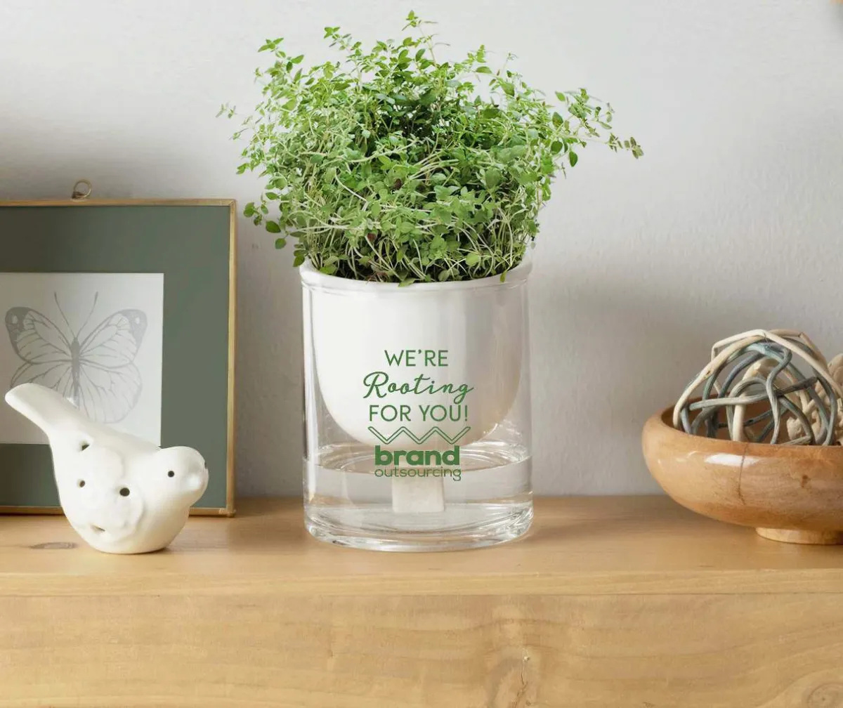 Pot de semences hydroponique - IL100