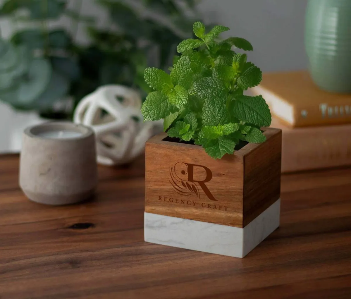 Pot de semences - IL101