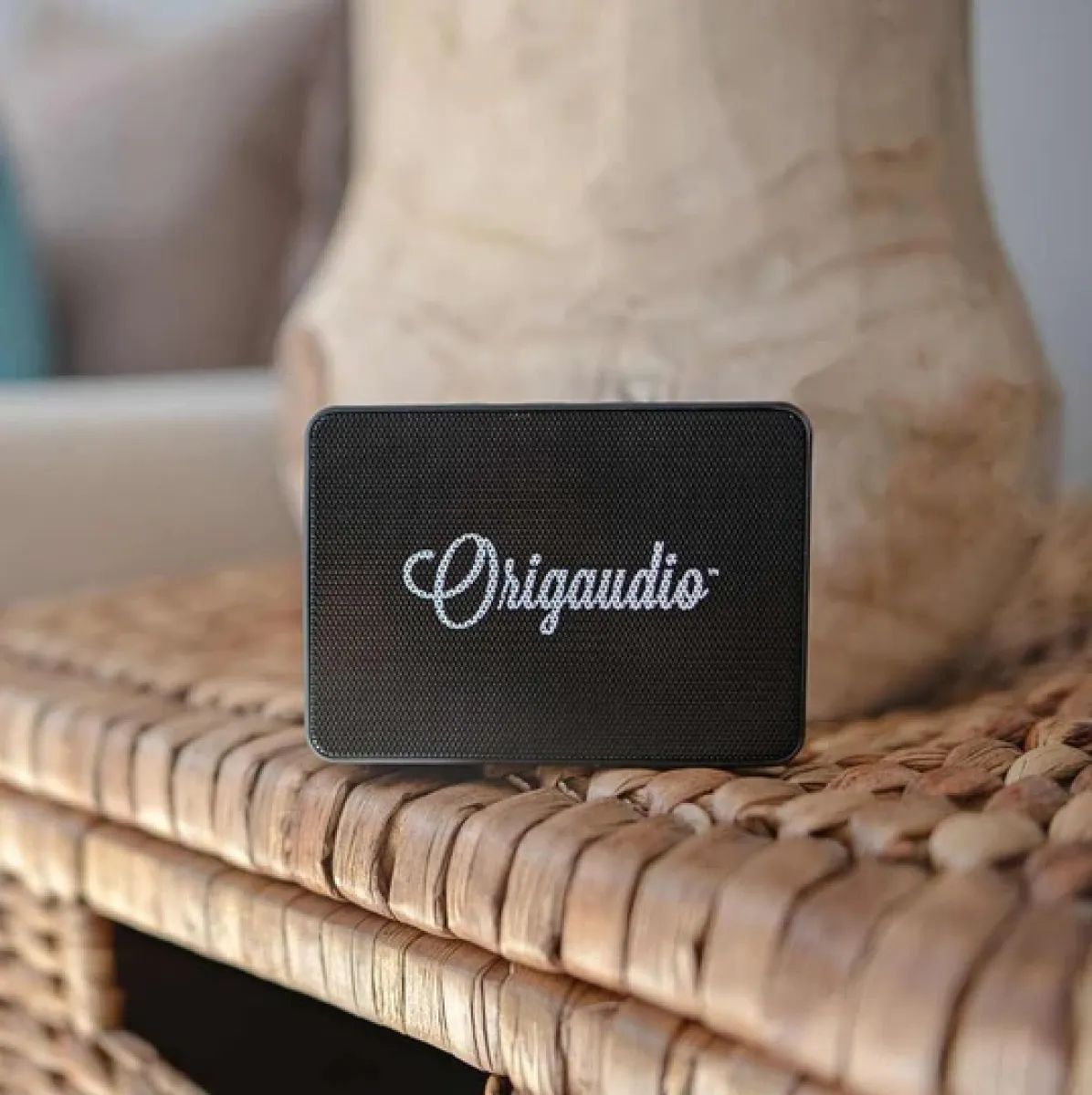 Haut-parleur sans fil - DB900