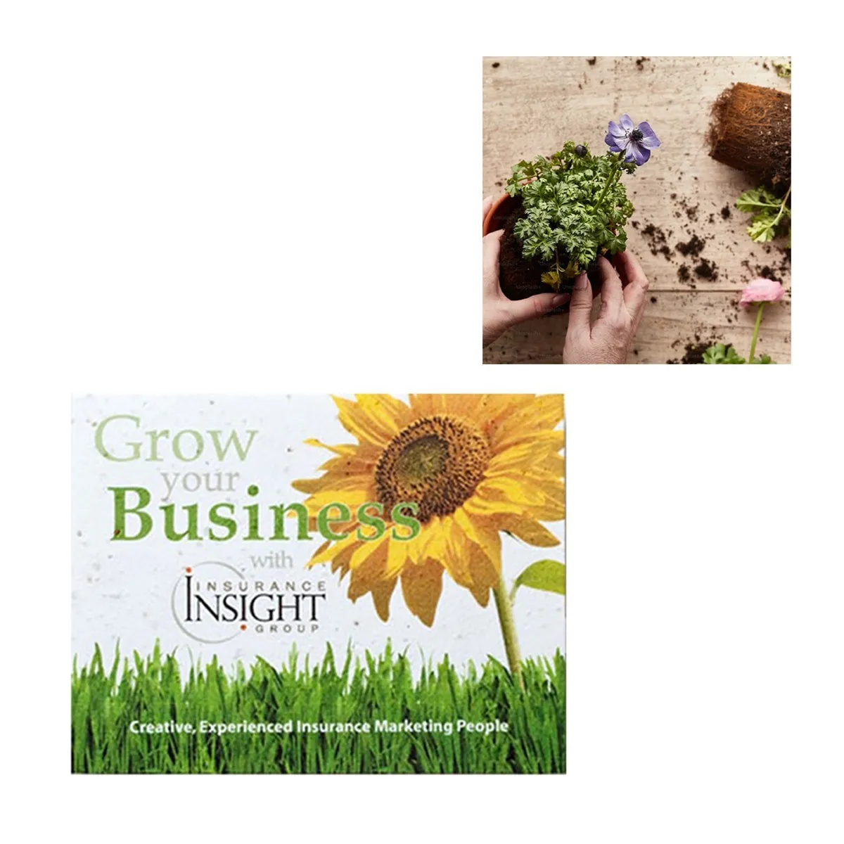 Carte semences - JA500